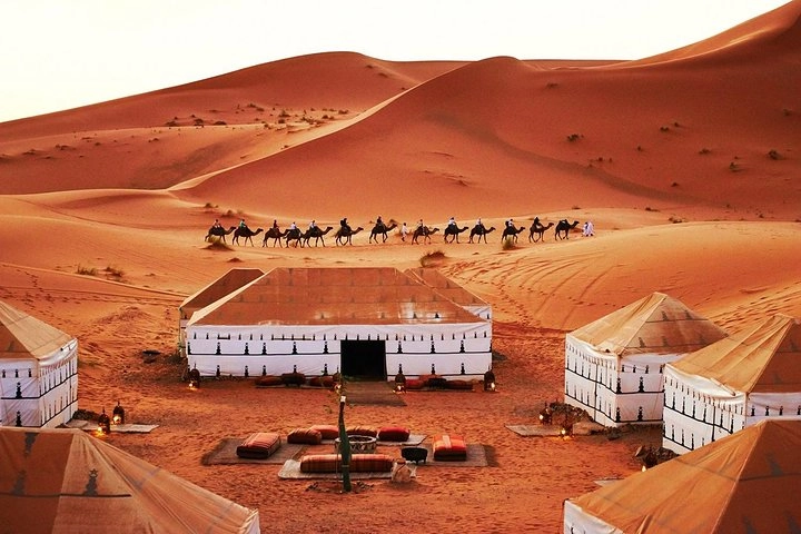 Sahara dunes
